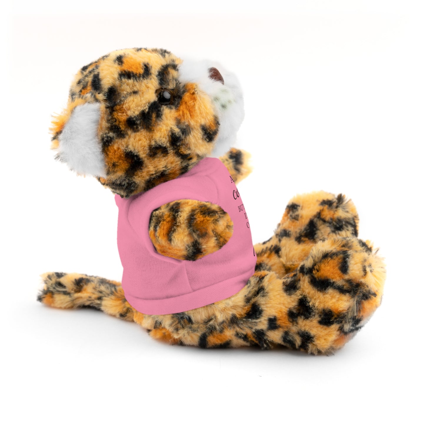 Co-Workers/Work Friends Gift Stuffed Animals with Tee