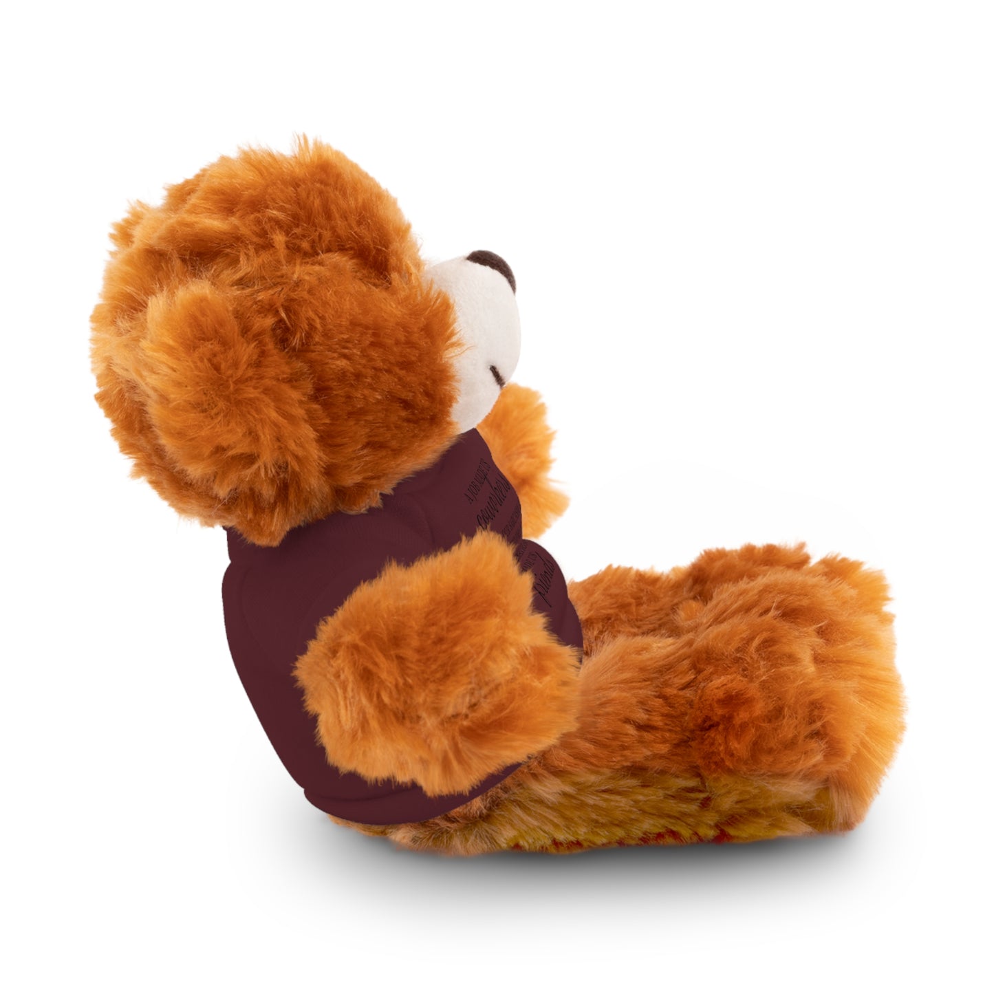 Co-Workers/Work Friends Gift Stuffed Animals with Tee