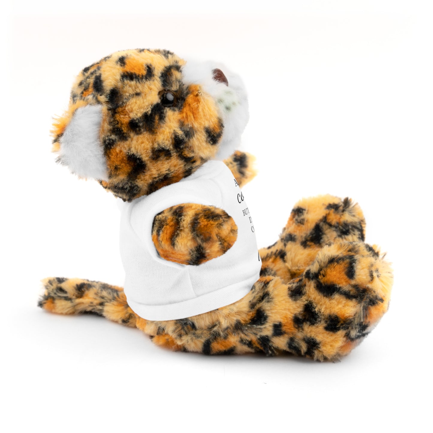 Co-Workers/Work Friends Gift Stuffed Animals with Tee