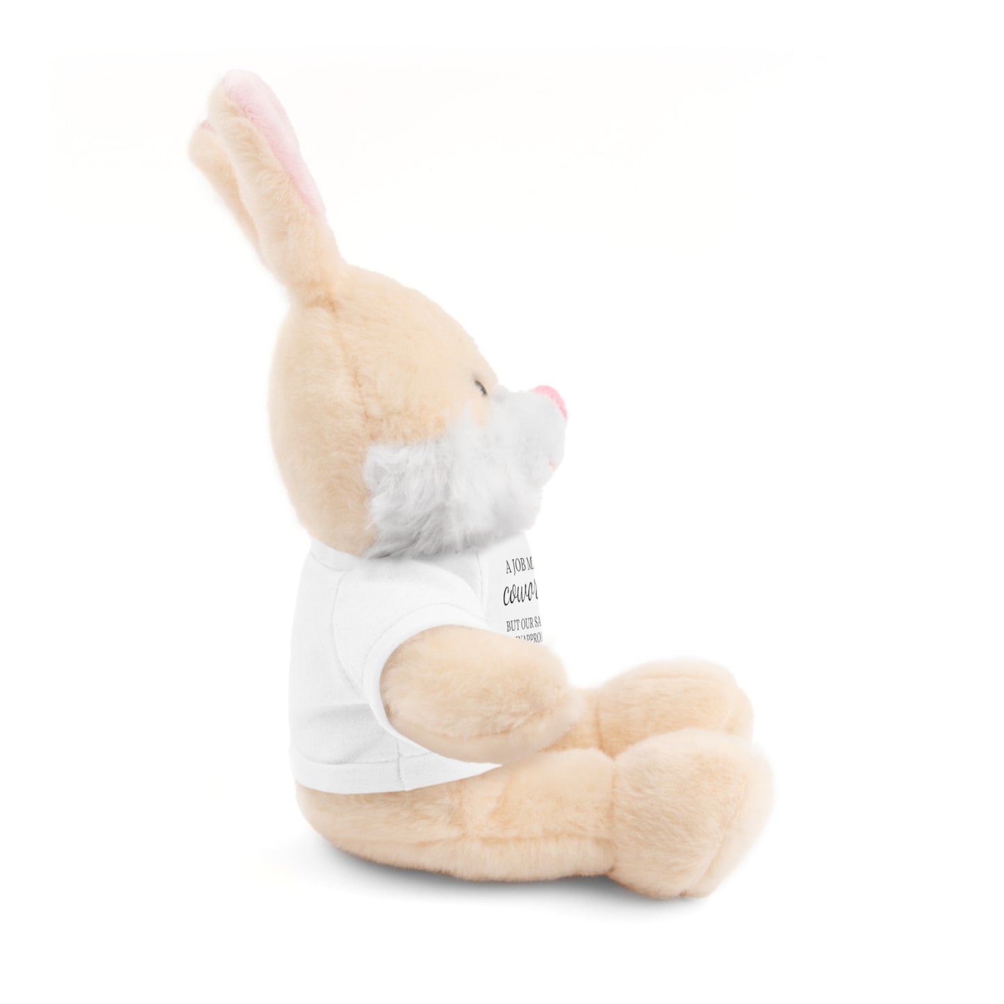 Co-Workers/Work Friends Gift Stuffed Animals with Tee