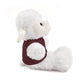 Co-Workers/Work Friends Gift Stuffed Animals with Tee