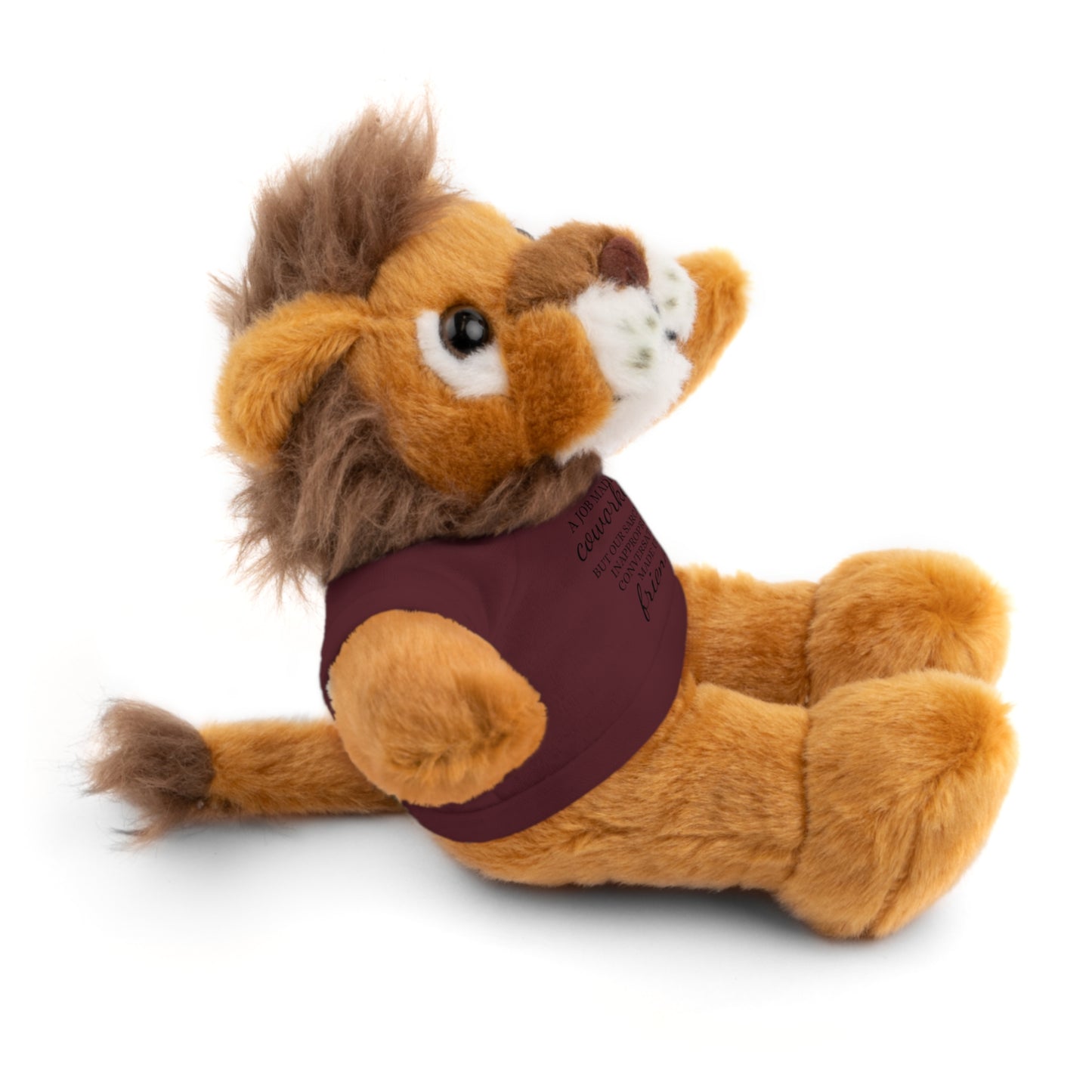 Co-Workers/Work Friends Gift Stuffed Animals with Tee