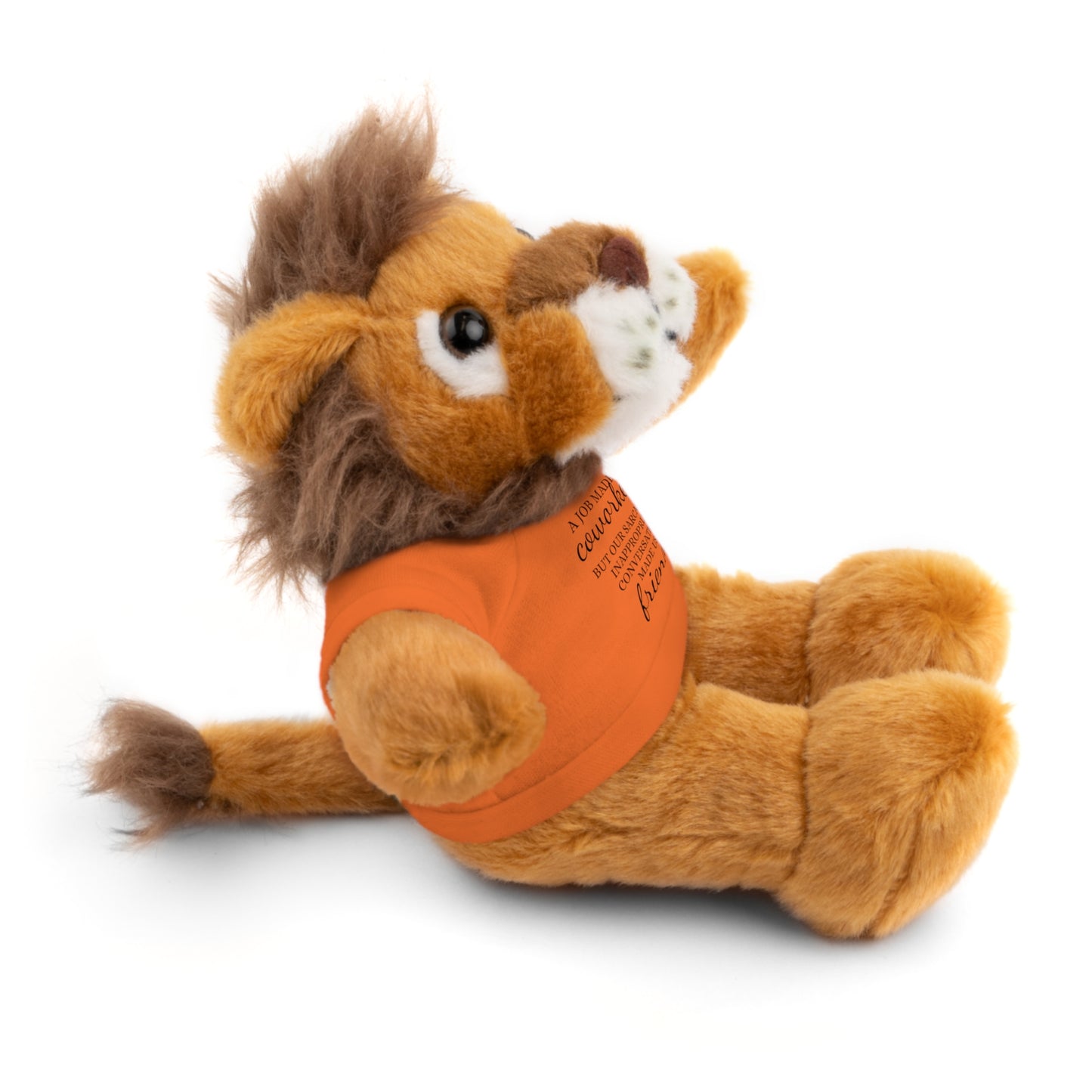 Co-Workers/Work Friends Gift Stuffed Animals with Tee