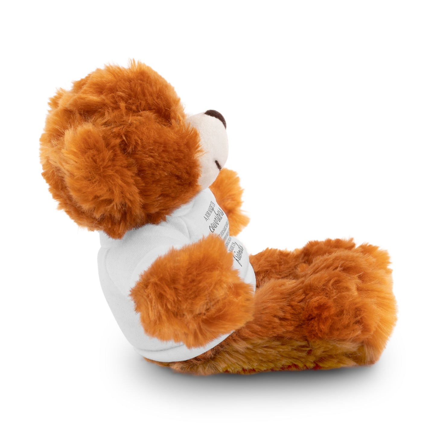 Co-Workers/Work Friends Gift Stuffed Animals with Tee