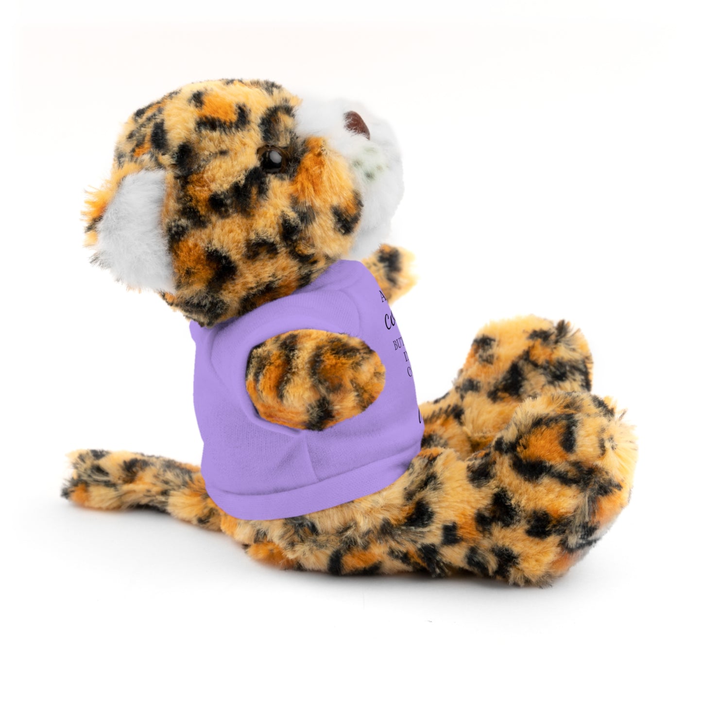 Co-Workers/Work Friends Gift Stuffed Animals with Tee