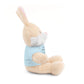 Co-Workers/Work Friends Gift Stuffed Animals with Tee
