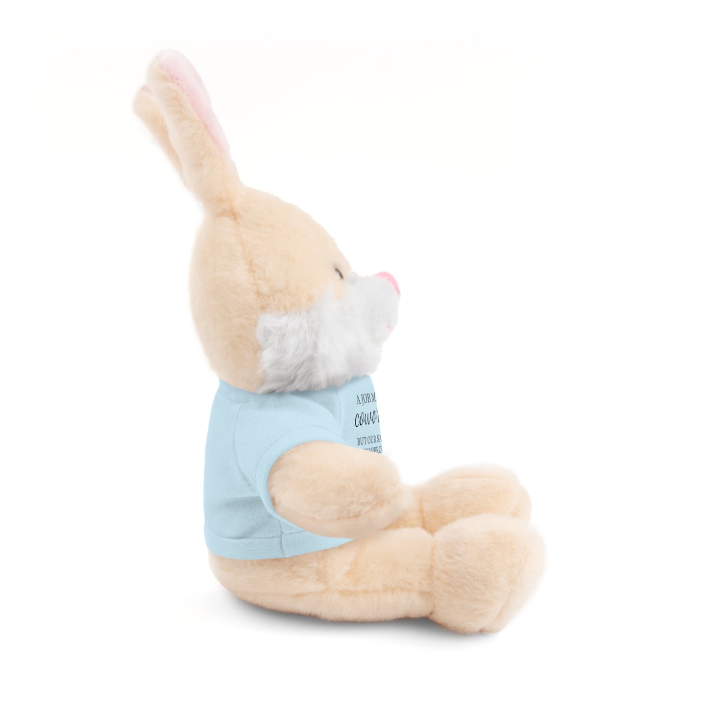 Co-Workers/Work Friends Gift Stuffed Animals with Tee