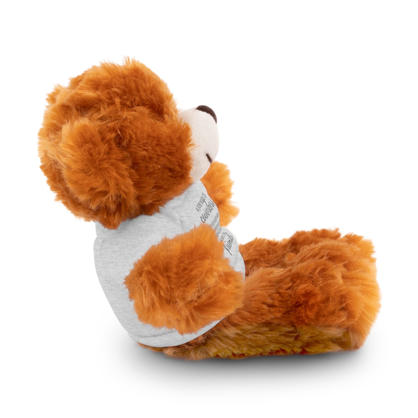 Co-Workers/Work Friends Gift Stuffed Animals with Tee
