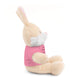 Co-Workers/Work Friends Gift Stuffed Animals with Tee