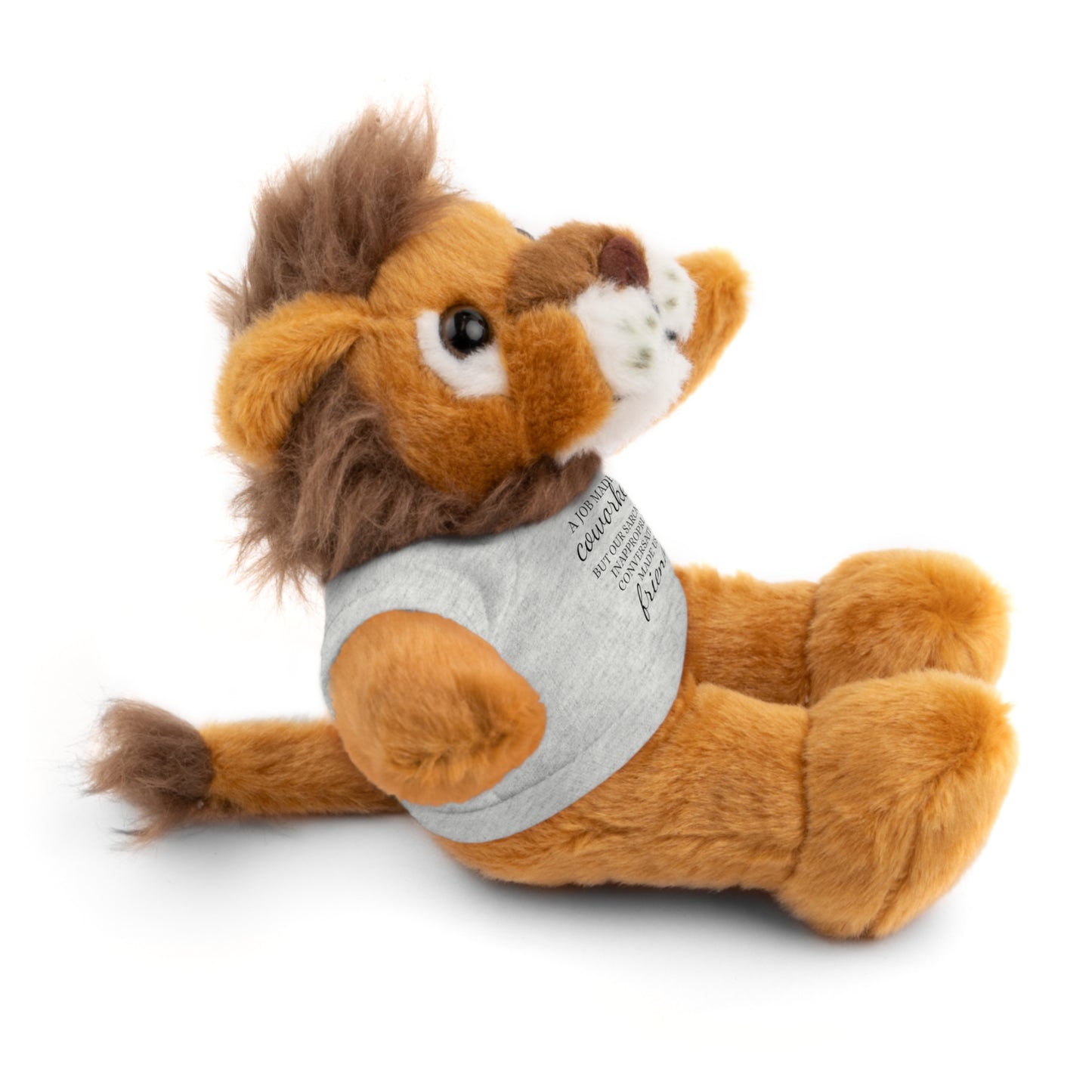 Co-Workers/Work Friends Gift Stuffed Animals with Tee