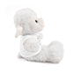 Co-Workers/Work Friends Gift Stuffed Animals with Tee
