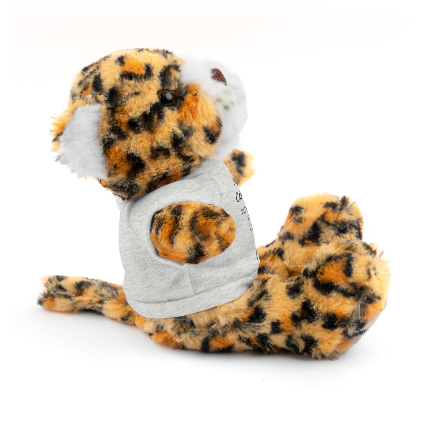 Co-Workers/Work Friends Gift Stuffed Animals with Tee